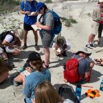 Students working on a beach